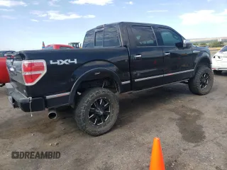 2010 Ford F-150 XL with VIN 1FTFW1EV7AFB49099, listed as a Copart auction lot 63714735 with 228,186 mi miles and Clean title. Bid and sale history available at DreamBid. Image 3.