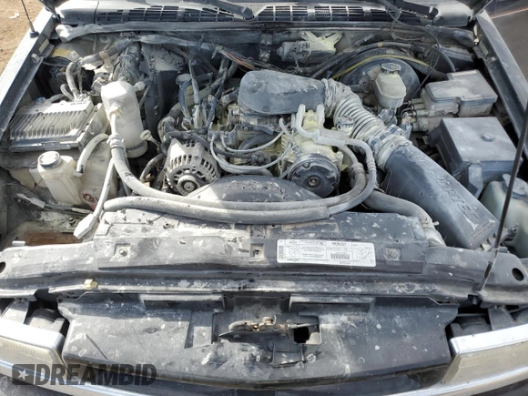 1999 Chevrolet Blazer Trailblazer z VIN 1GNDT13W2X2130625, wystawiony jako Copart lot #50596885 z przebiegiem 187 444 mil mil oraz Czysty tytuł • Clean title. Historia ofert i sprzedaży dostępna na DreamBid. Obrazek 12.