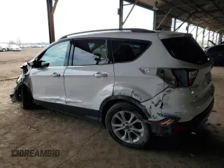 2017 Ford Escape SE with VIN 1FMCU9GD4HUD44574, listed as a Copart auction lot 48616805 with 152,026 mi miles and Salvage Title. Bid and sale history available at carsss.com. Image 2.