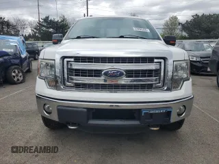 2013 Ford F-150 XL with VIN 1FTFX1ET4DFD31973, listed as a Copart auction lot 53285255 with 201,594 mi miles and Clean title. Bid and sale history available at DreamBid. Image 5.