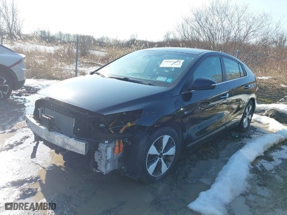 2019 Hyundai Ioniq Plug-In Hybrid Limited with VIN KMHC75LD7KU147976, listed as a IAAI auction lot 41059527 with NaN miles. Bid and sale history available at carsss.com. Image 2.