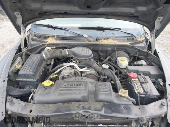 2003 Dodge Dakota with VIN 1D7FL46X43S190137, listed as a IAAI auction lot 42525471 with 130,773 mi miles and . Bid and sale history available at DreamBid. Image 10.