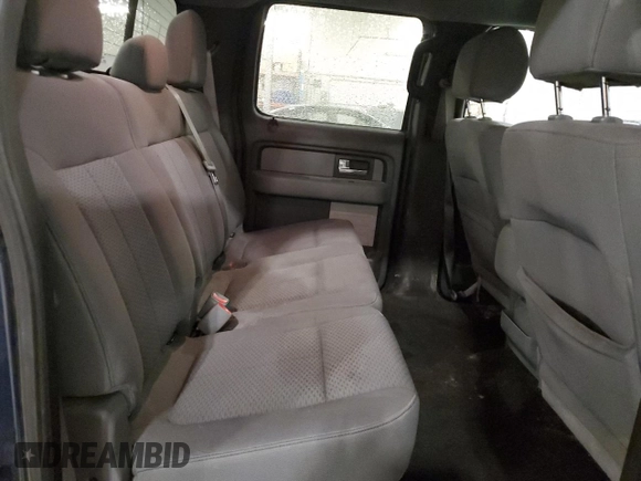 2013 Ford F-150 XL with VIN 1FTFW1EF9DKE61705, listed as a Copart auction lot 61339085 with 169,322 mi miles and Salvage title. Bid and sale history available at DreamBid. Image 10.