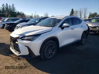 2023 Lexus NX 250 with VIN 2T2ADCEZ7PC003569, listed as a Copart auction lot 80216874 with 15,142 mi miles and Salvage title. Bid and sale history available at DreamBid. Image 1.
