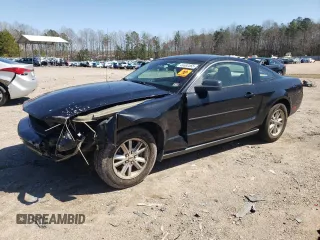 2005 Ford Mustang Deluxe with VIN 1ZVFT80N555244925, listed as a Copart auction lot 49692365 with 0 mi miles and Clean Title. Bid and sale history available at carsss.com. Image 1.