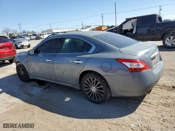 2010 Nissan Maxima 3.5 SV w/Premium Pkg with VIN 1N4AA5AP4AC825877, listed as a Copart auction lot 48372305 with 0 mi miles and Salvage Title. Bid and sale history available at carsss.com. Image 2.