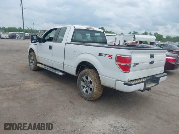 2013 Ford F-150 XL with VIN 1FTEX1EM1DFD75952, listed as a IAAI auction lot 42112875 with 171,472 mi miles and . Bid and sale history available at DreamBid. Image 3.
