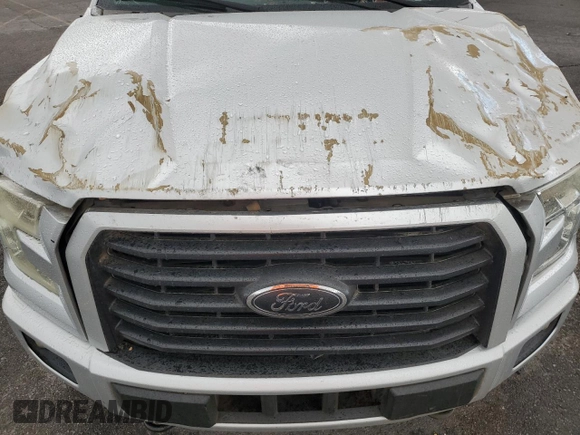 2015 Ford F-150 XLT with VIN 1FTEW1EP5FKE65435, listed as a Copart auction lot 48237125 with Not Provided miles and Salvage Title. Bid and sale history available at DreamBid. Image 12.