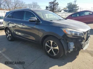 2016 Kia Sorento EX with VIN 5XYPH4A53GG049450, listed as a Copart auction lot 46242225 with 104,491 mi miles and Salvage Title. Bid and sale history available at DreamBid. Image 4.