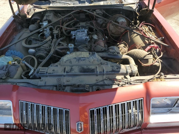 1976 Oldsmobile Cutlass with VIN 3G37R6R102438, listed as a Copart auction lot 50572925 with 13,592 mi miles and Clean Title. Bid and sale history available at DreamBid. Image 11.