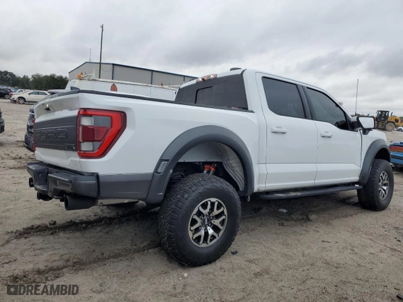 2022 Ford F-150 Raptor with VIN 1FTFW1RG0NFC19981, listed as a Copart auction lot 42302365 with 0 mi miles and Non Repairable. Bid and sale history available at carsss.com. Image 3.