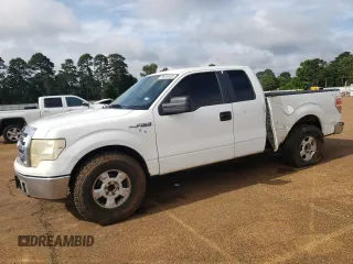 2009 Ford F-150 STX with VIN 1FTRX12829KB97914, listed as a Copart auction lot 56244425 with 264,622 mi miles and Salvage title. Bid and sale history available at DreamBid. Image 1.