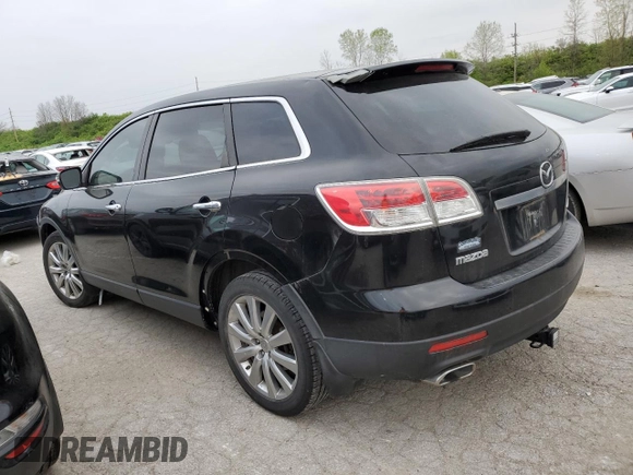 2009 Mazda CX-9 Touring with VIN JM3TB38V190164967, listed as a Copart auction lot 49181154 with 217,438 mi miles and Salvage Title. Bid and sale history available at carsss.com. Image 2.