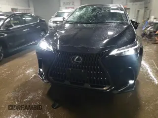 2022 Lexus NX with VIN 2T2ADCAZ4NC002205, listed as a Copart auction lot 44891975 with 19,509 mi miles and Salvage Title. Bid and sale history available at carsss.com. Image 13.