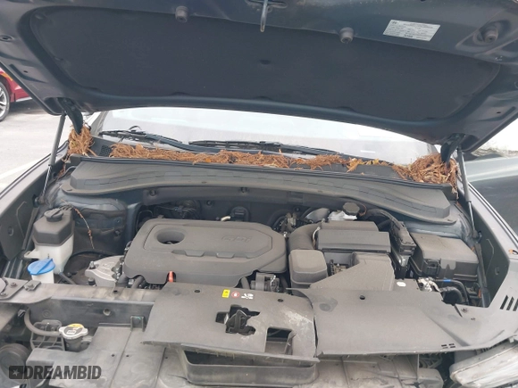 2019 Hyundai Santa Fe SE with VIN 5NMS23AD1KH067456, listed as a IAAI auction lot 41867362 with 105,236 mi miles. Bid and sale history available at carsss.com. Image 10.