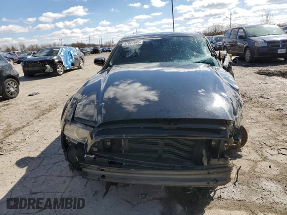 2014 Ford Mustang V6 с VIN 1ZVBP8AM4E5320093, выставлен на аукционе Copart как лот 56456695 с пробегом 138 493 миль миль и На запчасти • Non repairable. История ставок и продаж доступна на DreamBid. Изображение 5.
