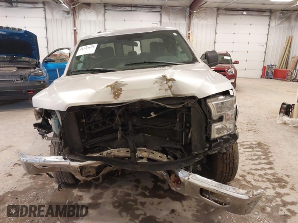 2015 Ford F-150 XLT with VIN 1FTEX1EP1FFD12282, listed as a IAAI auction lot 41743075 with 180,389 mi miles. Bid and sale history available at carsss.com. Image 12.