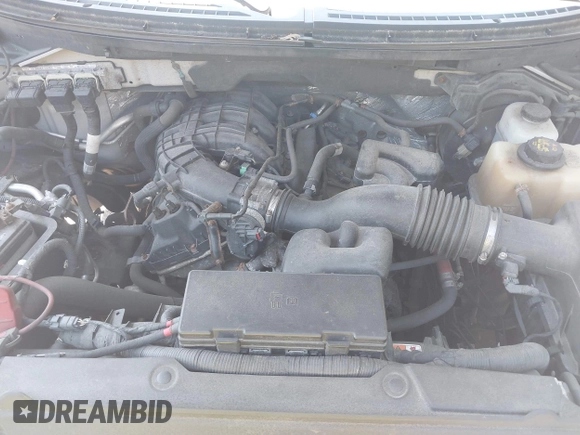 2012 Ford F-150 XL with VIN 1FTEX1EM1CFB26615, listed as a IAAI auction lot 42765399 with 261,278 mi miles and . Bid and sale history available at DreamBid. Image 10.