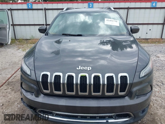 2017 Jeep Cherokee Limited z VIN 1C4PJLDB4HW521787, wystawiony jako IAAI lot #42384718 z przebiegiem 96 819 mil mil oraz . Historia ofert i sprzedaży dostępna na DreamBid. Obrazek 13.