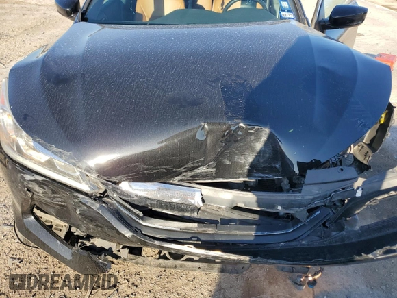 2017 Honda Accord Sedan Sport with VIN 1HGCR2F58HA302502, listed as a Copart auction lot 48702245 with 79,994 mi miles and Salvage Title. Bid and sale history available at carsss.com. Image 13.