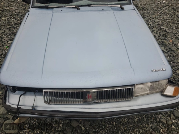 1991 Oldsmobile Cutlass z VIN 1G3AL54N3M6343029, wystawiony jako Copart lot #43965995 z przebiegiem 198 977 mil mil oraz Szkody całkowita. Historia ofert i sprzedaży dostępna na DreamBid. Obrazek 12.