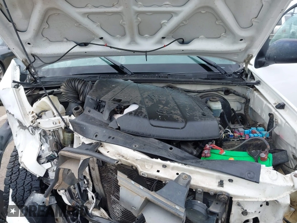 2008 Toyota Tacoma with VIN 5TELU42NX8Z508621, listed as a IAAI auction lot 41839985 with Not provided miles and . Bid and sale history available at DreamBid. Image 10.