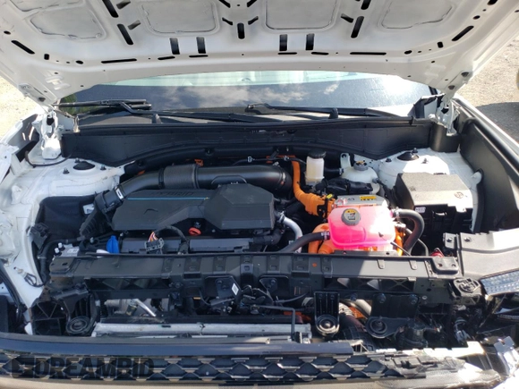 2024 Hyundai Santa Fe Calligraphy with VIN 5NMP5DG19RH004891, listed as a Copart auction lot 63265385 with 16,956 mi miles and Salvage title. Bid and sale history available at DreamBid. Image 11.
