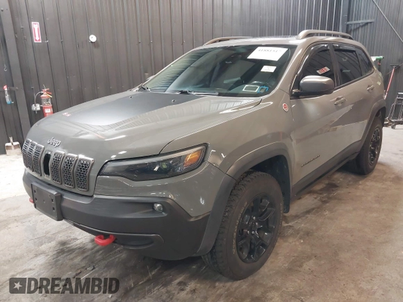 2019 Jeep Cherokee Trailhawk Elite with VIN 1C4PJMBX8KD458989, listed as a IAAI auction lot 41881517 with 89,045 mi miles. Bid and sale history available at carsss.com. Image 2.