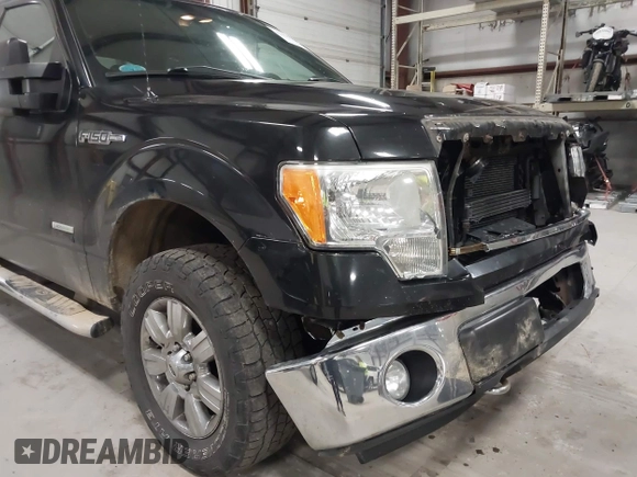 2012 Ford F-150 XL with VIN 1FTFW1ET2CFB04167, listed as a IAAI auction lot 42059745 with 178,259 mi miles and . Bid and sale history available at DreamBid. Image 18.
