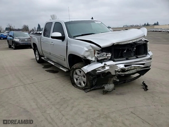 2013 GMC Sierra 1500 SLT with VIN 3GTP2WE75DG275821, listed as a Copart auction lot 43206415 with 141,117 mi miles and Salvage Title. Bid and sale history available at carsss.com. Image 10.