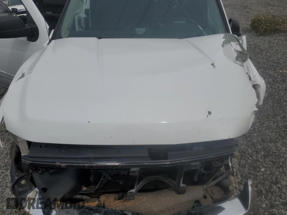 2007 Chevrolet Silverado 1500 Work Truck with VIN 1GCEC19C17Z544318, listed as a Copart auction lot 48869975 with Not Provided miles and Salvage Title. Bid and sale history available at DreamBid. Image 11.