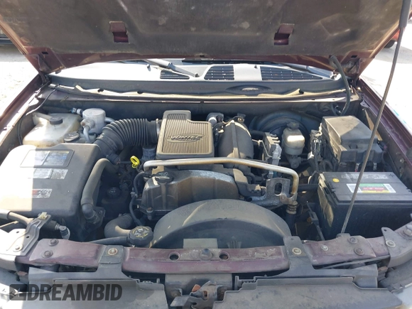 2006 Chevrolet TrailBlazer LS with VIN 1GNDS13S862111494, listed as a IAAI auction lot 42100731 with 234,121 mi miles and . Bid and sale history available at DreamBid. Image 10.