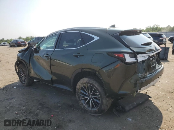 2025 Lexus NX 350 with VIN 2T2AGCEZ3SC066555, listed as a Copart auction lot 59521925 with 11,955 mi miles and Salvage title. Bid and sale history available at DreamBid. Image 2.