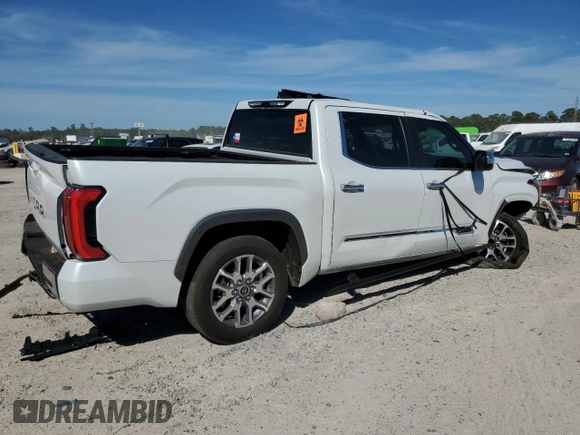 2024 Toyota Tundra 2WD 1794 Edition with VIN 5TFMA5AB1RX030589, listed as a Copart auction lot 49426235 with 20,554 mi miles and Salvage Title. Bid and sale history available at carsss.com. Image 3.