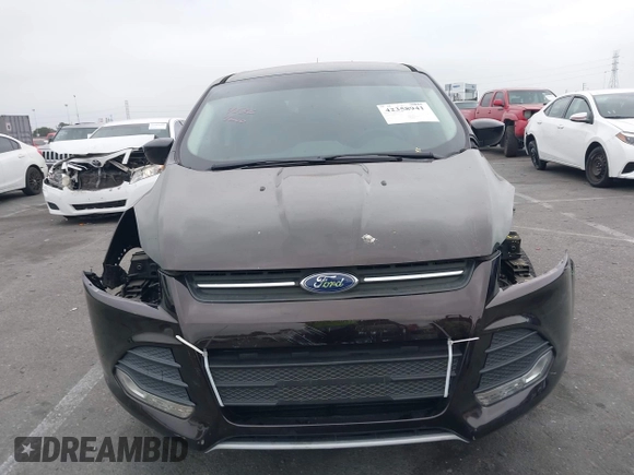 2013 Ford Escape SE with VIN 1FMCU0GX4DUA34229, listed as a IAAI auction lot 42358941 with 141,492 mi miles and . Bid and sale history available at DreamBid. Image 13.