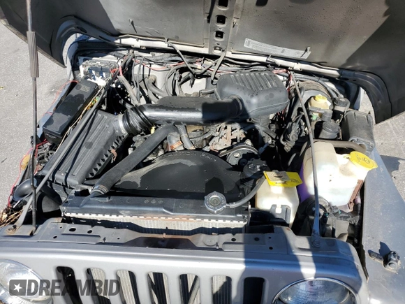2001 Jeep Wrangler SE with VIN 1J4FA29P71P310653, listed as a Copart auction lot 81682424 with 0 mi miles and Salvage Title. Bid and sale history available at carsss.com. Image 12.