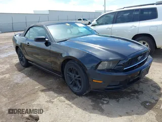 2014 Ford Mustang V6 with VIN 1ZVBP8EM2E5213487, listed as a IAAI auction lot 42183116 with 123,954 mi miles and . Bid and sale history available at DreamBid. Image 1.