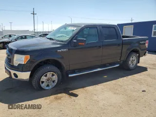 2010 Ford F-150 XL with VIN 1FTFW1EVXAFC23700, listed as a Copart auction lot 55927975 with 227,554 mi miles and Clean title. Bid and sale history available at DreamBid. Image 1.