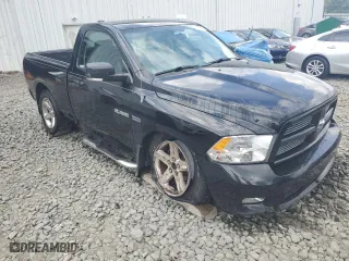 2010 Dodge Ram 1500 Sport with VIN 3D7JV1ET0AG191856, listed as a Copart auction lot 65118404 with 65,338 mi miles and Salvage Title. Bid and sale history available at carsss.com. Image 4.