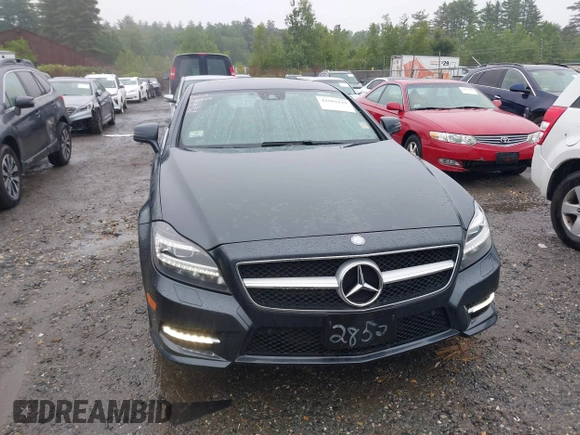 2014 Mercedes-Benz CLS 550 with VIN WDDLJ9BB6EA122852, listed as a IAAI auction lot 42503119 with 161,840 mi miles and . Bid and sale history available at DreamBid. Image 12.
