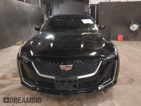 2023 Cadillac CT5 Luxury z VIN 1G6DX5RK7P0135813, wystawiony jako IAAI lot #42130722 z przebiegiem 20 738 mil mil oraz . Historia ofert i sprzedaży dostępna na DreamBid. Obrazek 13.