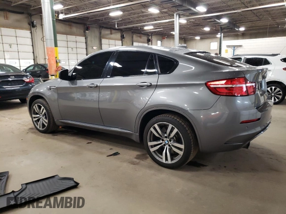 2013 BMW X6 M with VIN 5YMGZ0C5XDLL29831, listed as a Copart auction lot 54340225 with 117,503 mi miles and Salvage Title. Bid and sale history available at carsss.com. Image 2.