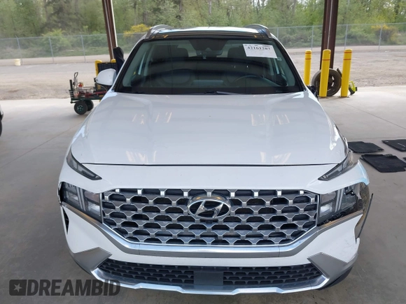 2023 Hyundai Santa Fe SEL with VIN 5NMS34AJ3PH548146, listed as a IAAI auction lot 42161287 with 46,708 mi miles and . Bid and sale history available at DreamBid. Image 12.