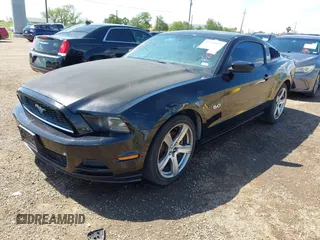 2013 Ford Mustang V6 with VIN 1ZVBP8AM3D5244879, listed as a IAAI auction lot 42210809 with Not provided miles and . Bid and sale history available at DreamBid. Image 2.
