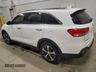 2017 Kia Sorento EX V6 with VIN 5XYPH4A58HG248236, listed as a Copart auction lot 48732165 with 146,353 mi miles and Clean Title. Bid and sale history available at carsss.com. Image 2.