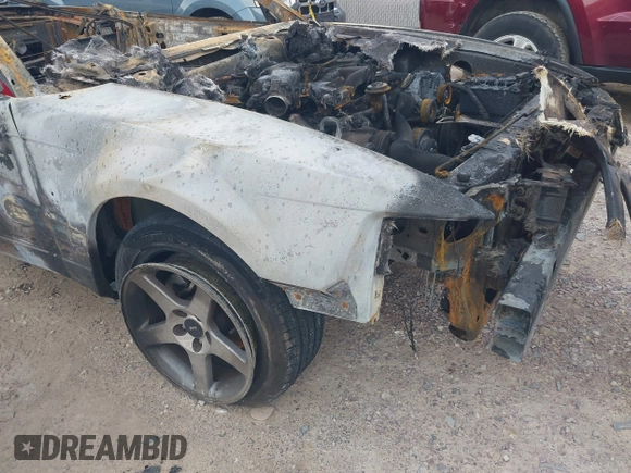 1999 Ford Mustang with VIN 1FAFP4448XF115520, listed as a IAAI auction lot 42602755 with Not provided miles and . Bid and sale history available at DreamBid. Image 13.