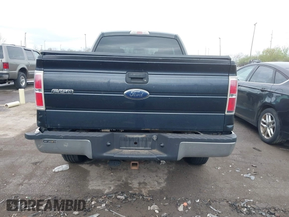 2010 Ford F-150 XL with VIN 1FTEX1E85AFB06495, listed as a IAAI auction lot 42082090 with 161,418 mi miles. Bid and sale history available at carsss.com. Image 16.