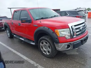 2009 Ford F-150 XL z VIN 1FTPW14V69FB00946, wystawiony jako IAAI lot #42250944 z przebiegiem 176 026 mil mil oraz . Historia ofert i sprzedaży dostępna na DreamBid. Obrazek 1.