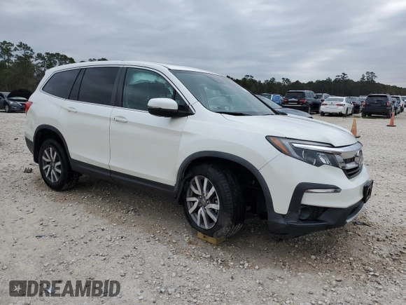 2019 Honda Pilot EX-L with VIN 5FNYF5H58KB005465, listed as a Copart auction lot 87206874 with 31,272 mi miles and Clean title. Bid and sale history available at DreamBid. Image 4.