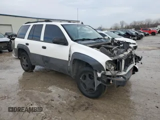 2007 Chevrolet TrailBlazer LS with VIN 1GNDS13S572165188, listed as a Copart auction lot 89381025 with Not Provided miles and Salvage Title. Bid and sale history available at DreamBid. Image 4.